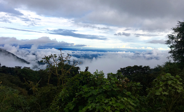 Egy este a műhelyben-Ecuador meg minden más