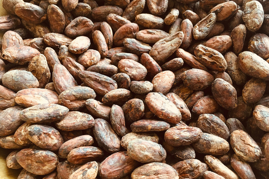 Cocoa beans